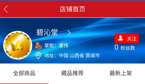 國玄藝術網董先生金牌店鋪「碧沁堂」 誠尋有緣人，共啟在線教育新篇